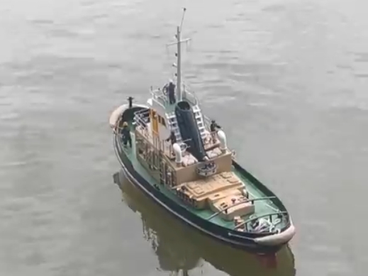 schiff3