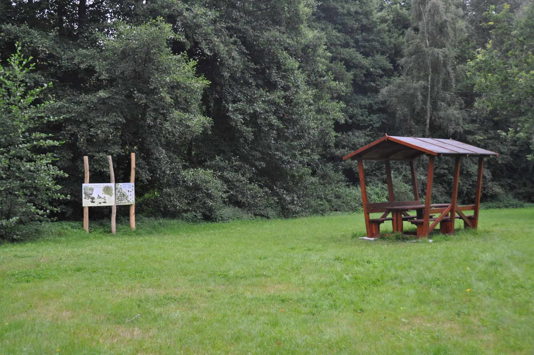 DSC 0025